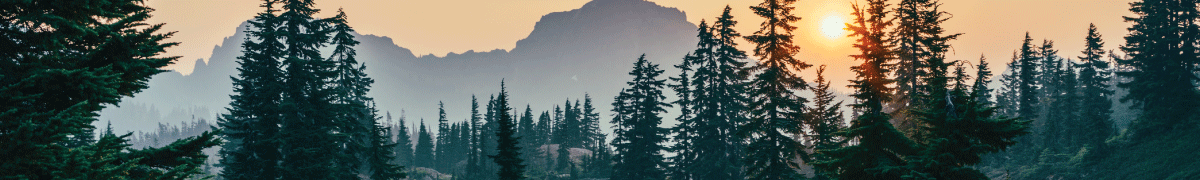 Topography Maps Glassware